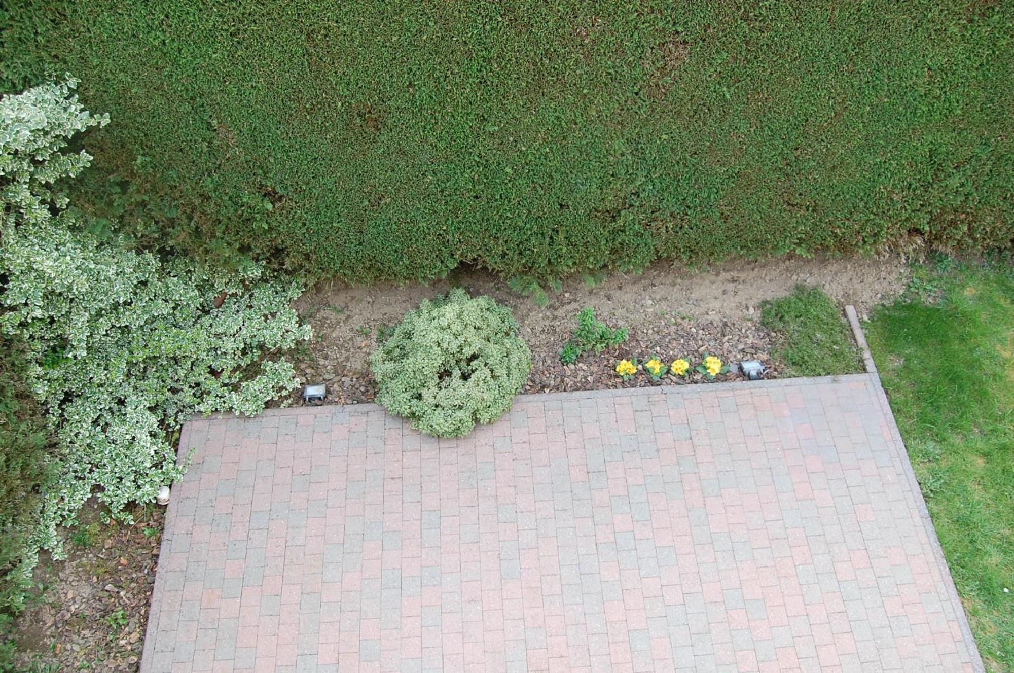 B&B Des Bois Sans Nombre Paliseul Εξωτερικό φωτογραφία